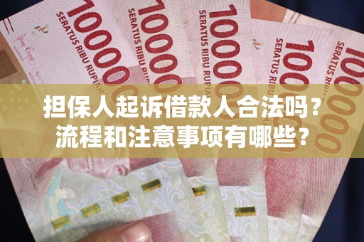 北京担保人起诉借款人合法吗？流程和注意事项有哪些？