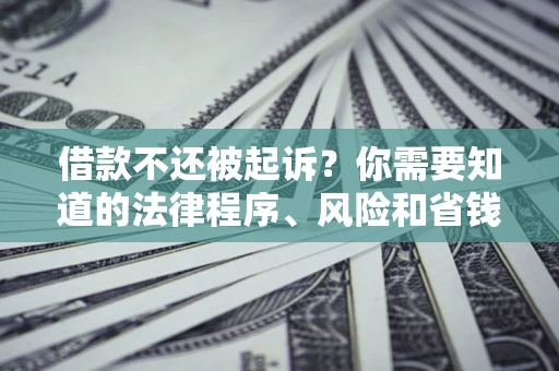 北京借款不还被起诉？你需要知道的法律程序、风险和省钱技巧